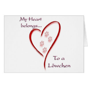 Löwchen Heart Belongs