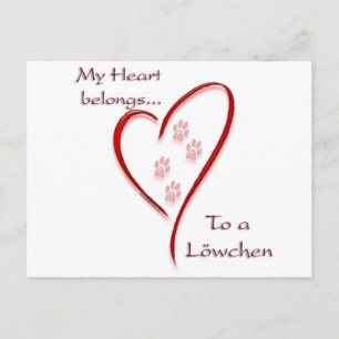 Löwchen Heart Belongs Postcard