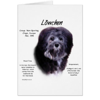 Löwchen History Design