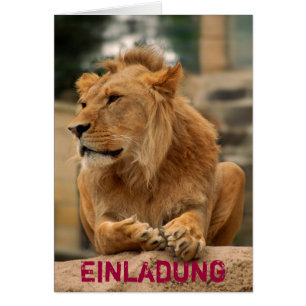 Löwe mit Punkerfrisur