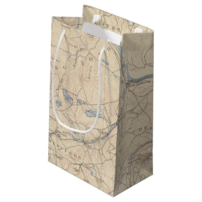 Lowell, Massachusetts Small Gift Bag (Back Angled)