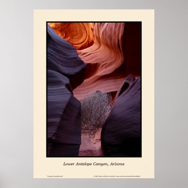 Lower Antelope Canyon Arizona Tumbleweed Southwest Poster (Front)