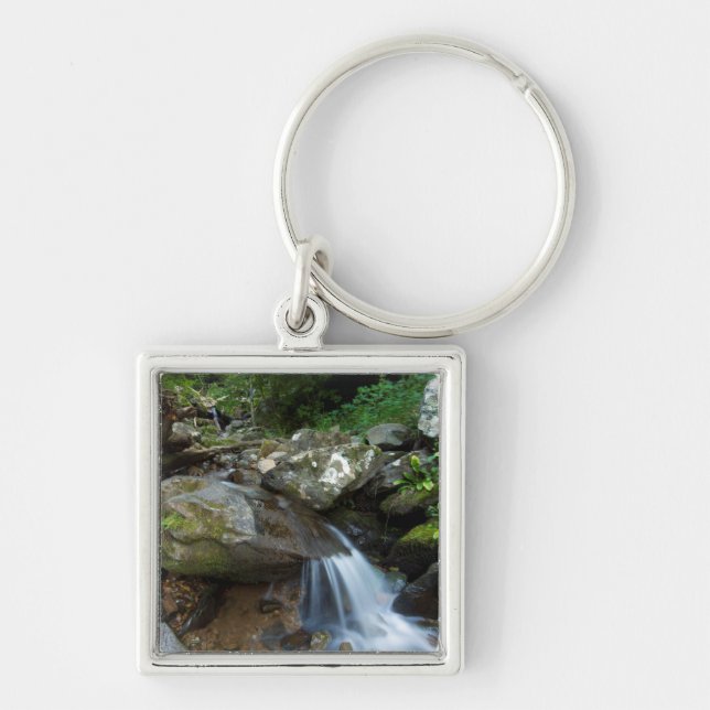 Lower Dark Hollow Falls, Shenandoah Key Ring (Front)