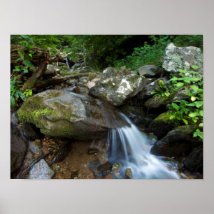 Lower Dark Hollow Falls, Shenandoah Poster