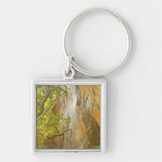 Lower Emerald Pool Waterfall Red rock and Tree Key Ring (Front)