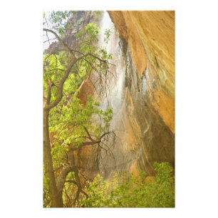 Lower Emerald Pool Waterfall Red rock and Tree Photo Print