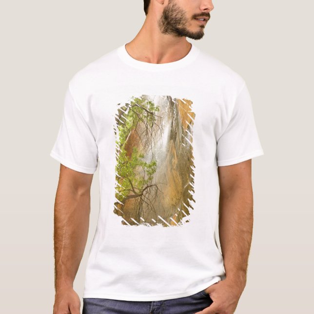 Lower Emerald Pool Waterfall Red rock and Tree T-Shirt (Front)