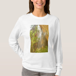 Lower Emerald Pool Waterfall Red rock and Tree T-Shirt