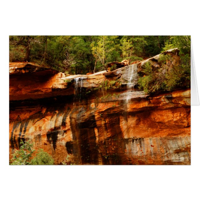 Lower Emerald Pools Zion National Park Utah Blank (Front Horizontal)
