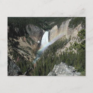 Lower Fall Yellowstone Postcard