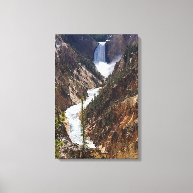 Lower Falls Yellowstone Canvas Print (Front)