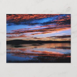 Lower Klamath National Wildlife Refuge Postcard