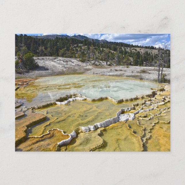 Lower Minerva Terrace, Yellowstone National Park Postcard (Front)