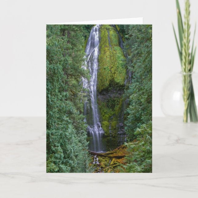 Lower Proxy Falls | Willamette National Forest Card (Front)