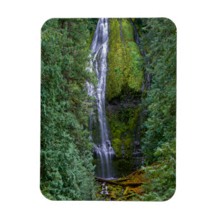 Lower Proxy Falls   Willamette National Forest Magnet
