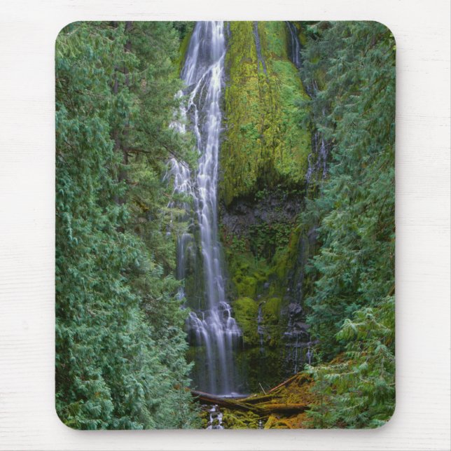 Lower Proxy Falls | Willamette National Forest Mouse Pad (Front)