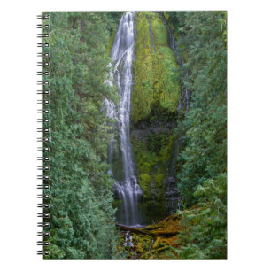 Lower Proxy Falls   Willamette National Forest Notebook