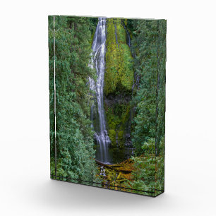 Lower Proxy Falls Willamette National Forest Photo Block