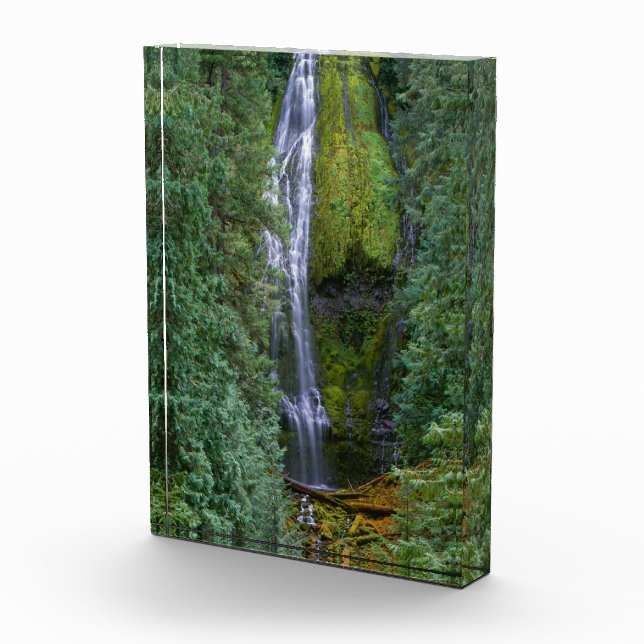 Lower Proxy Falls | Willamette National Forest Photo Block (Right)