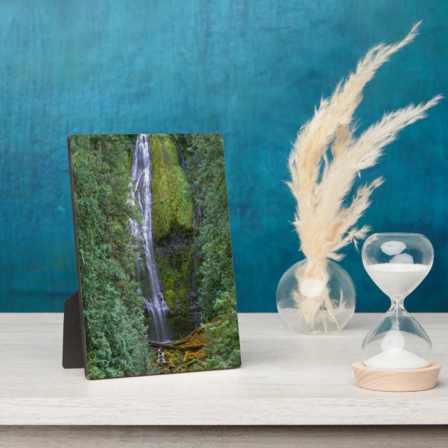 Lower Proxy Falls | Willamette National Forest Plaque (Side)