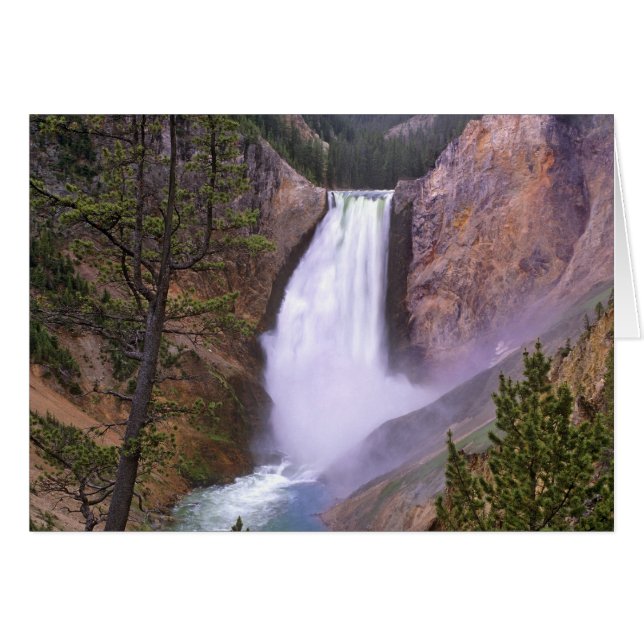 Lower Yellowstone Falls, Grand Canyon of (Front Horizontal)
