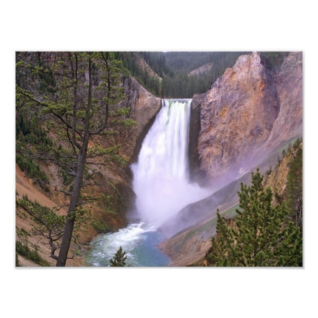 Lower Yellowstone Falls, Grand Canyon of Photo Print (Front)