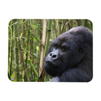 Lowland Gorilla Flexible Magnet