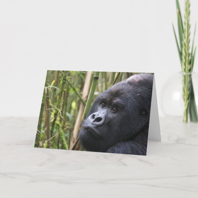 Lowland Gorilla Greeting Card (Front)
