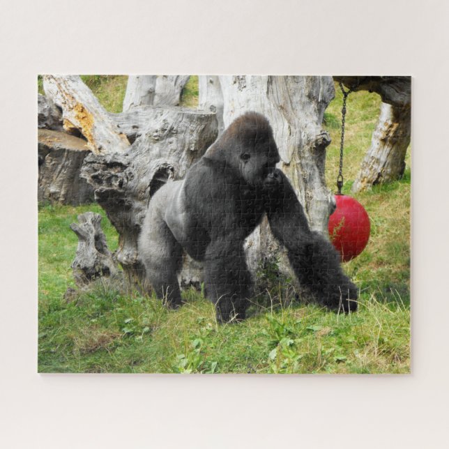 Lowland silverback gorilla jigsaw puzzle (Horizontal)