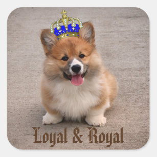 Loyal and Royal Corgi Puppy Square Sticker