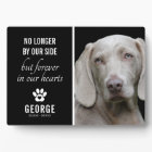 Loyal Dog No Longer By Our Side | Photo Keepsake