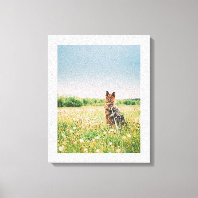 Loyal Gaze in the Meadow Canvas Print (Front)