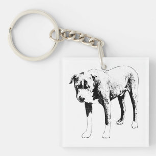 Loyal Look Keychain