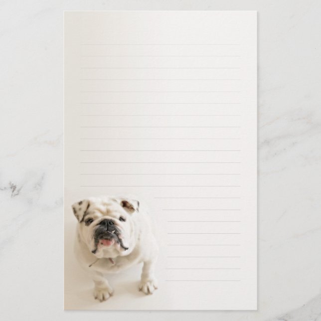 Loyal White Bulldog Lined Writing paper (Front)
