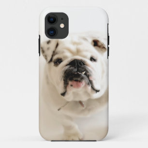 Loyal White Bulldog Photograph Case-Mate iPhone Case
