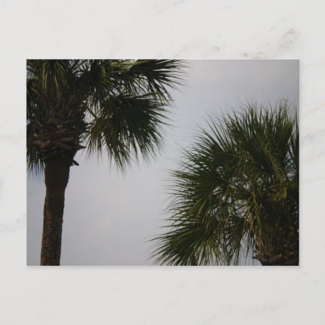 lpn 160 postcard (Front)