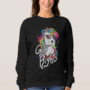 Lqbtq Flag Gay Rainbow Flag Pride Bisexual Gay Bi  Sweatshirt