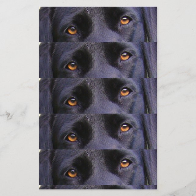 LR black eyes (Front)