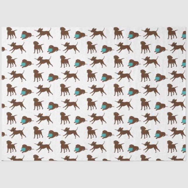 lr chocolate lab cartoon strip tissue paper (Front)