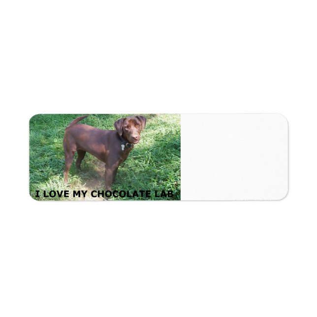 LR chocolate lab love with picture (Front)