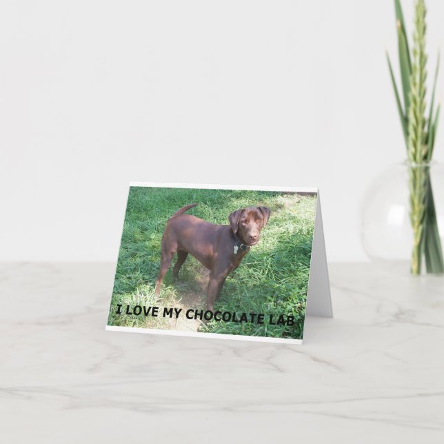 LR chocolate lab love with picture Card (Front)