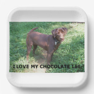 LR chocolate lab love with picture Paper Plate