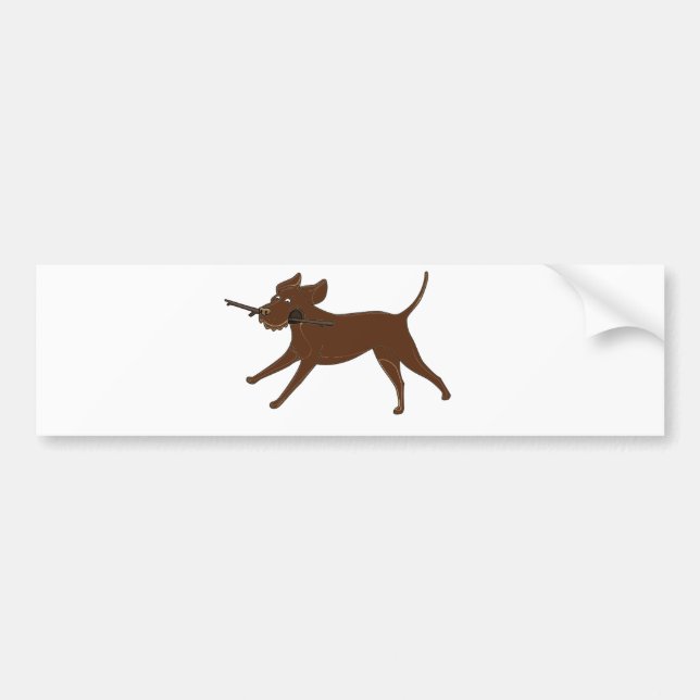 LR chocolate lab with stick Bumper Sticker (Front)