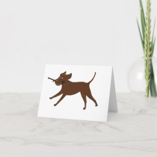 LR chocolate lab with stick Card