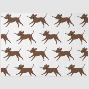 LR chocolate lab with stick Tissue Paper