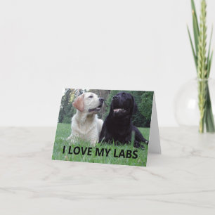 LR I Love My Labs with Picture Card