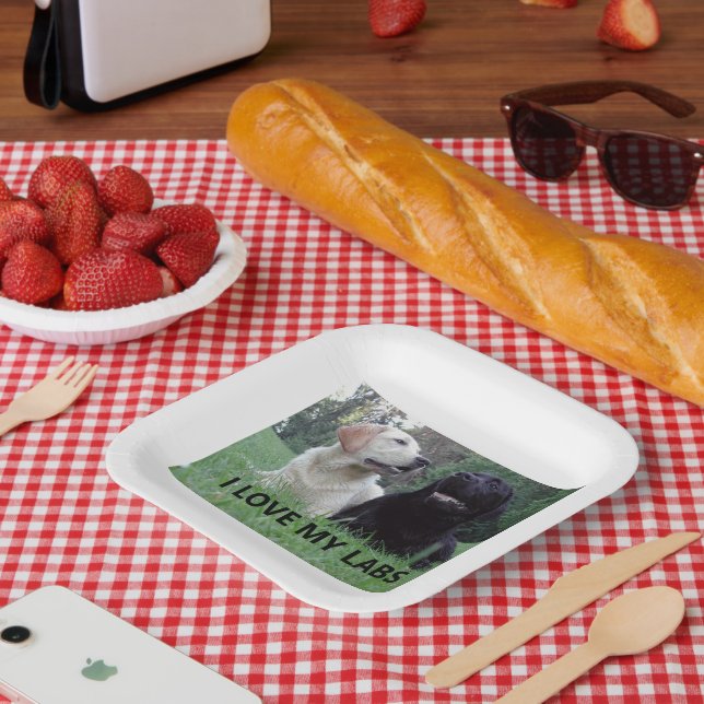 LR I Love My Labs with picture Paper Plate (Picnic)