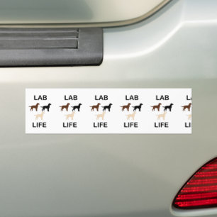 LR lab life all colours silhouettes Bumper Sticker