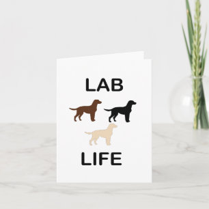 LR lab life all colours silhouettes Card
