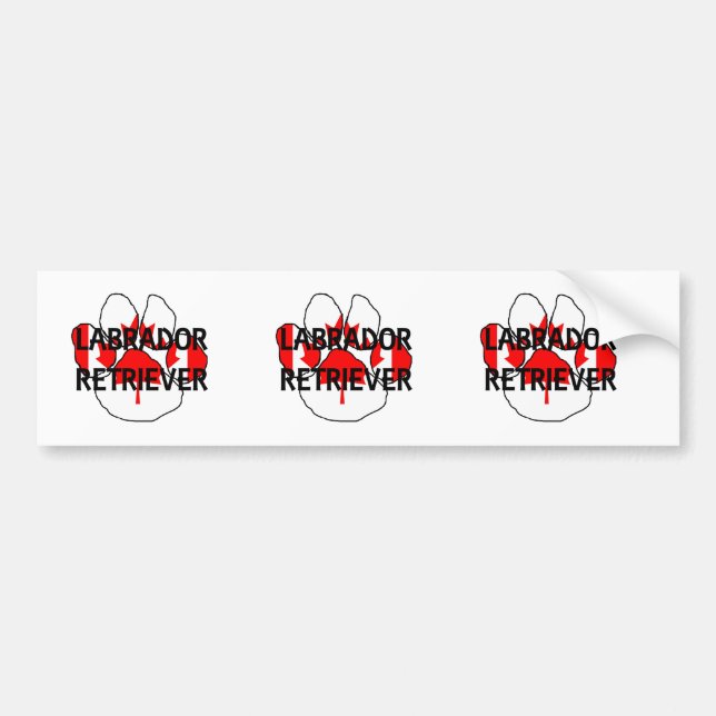 LR name flg paw Bumper Sticker (Front)